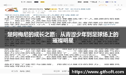 熊猫体育