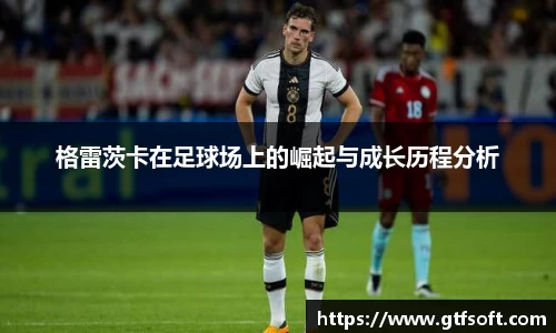 熊猫体育官网