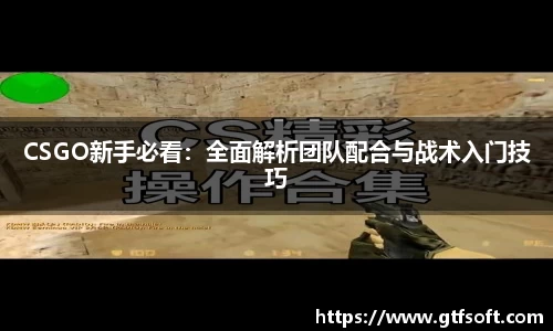 CSGO新手必看：全面解析团队配合与战术入门技巧